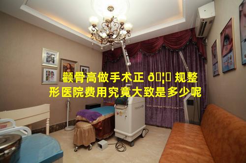 颧骨高做手术正 🦆 规整形医院费用究竟大致是多少呢